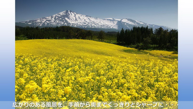 サンプル写真とともに具体的に説明します！