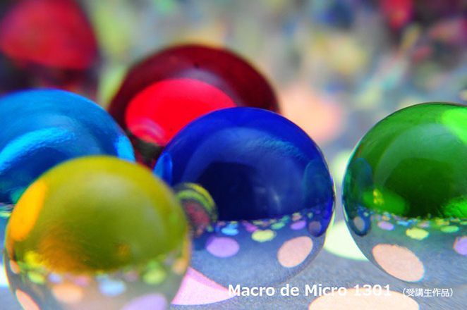 Macro de Micro 1301